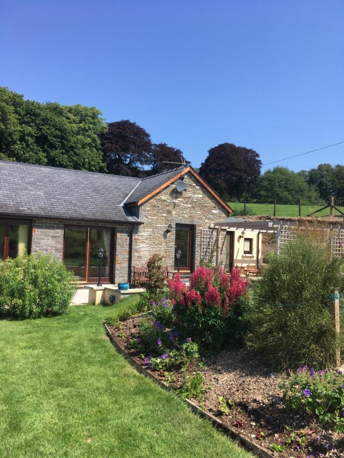 Neuadd Villa Llanwnen Exterior foto